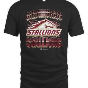 Birmingham Stallions Vintage T Shirt Hoodie